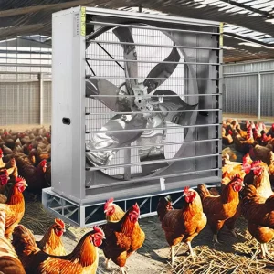 Wall Mount Push Pull Exhaust Fan Ball Bearing Energy Saving for Livestock Breeding Shed Heat Dissipation