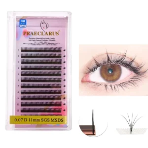 Wet Look Eyelashes 5D Flora Eyelash Premium Materials Natural Soft Lashes Thickness 0.07mm Black Hand Made