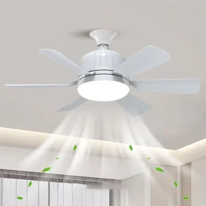 Wireless Small Fan Lamp LED Ceiling Fan with Light and Remote for Living Room
