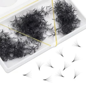 Wispy Handmade Pointy Stem Premade Volume Loose Fans 1000 0.05 0.07mm 3D 4D 5D 6D Synthetic Hair