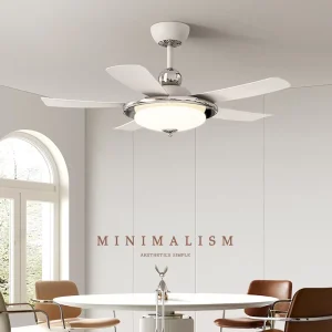 in Luxury 52 Inch Smart Ceiling Fan with LED Lights Low Profile for Living Room 220V Motor Remote Control